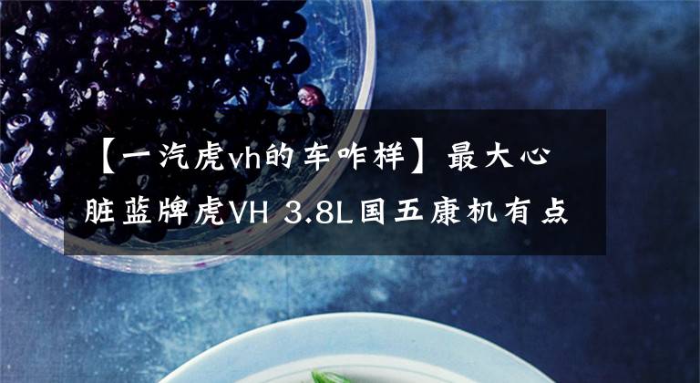 【一汽虎vh的车咋样】最大心脏蓝牌虎VH 3.8L国五康机有点猛!
