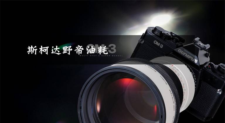 斯柯达野帝油耗