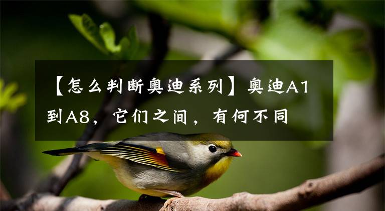 【怎么判断奥迪系列】奥迪A1到A8，它们之间，有何不同