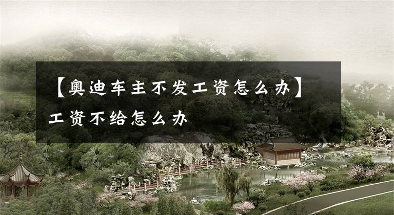 【奥迪车主不发工资怎么办】工资不给怎么办
