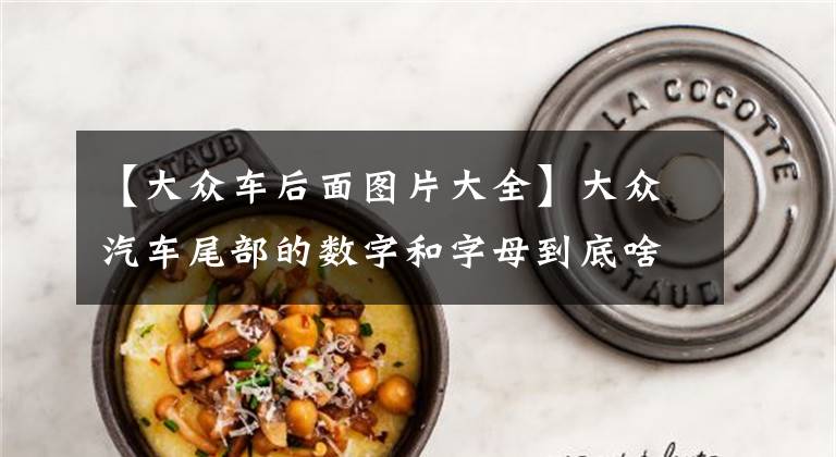 【大众车后面图片大全】大众汽车尾部的数字和字母到底啥意思?