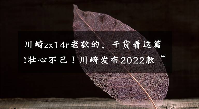 川崎zx14r老款的,干货看这篇!壮心不已!川崎发布2022款“六眼魔神”——Ninja ZX-14R