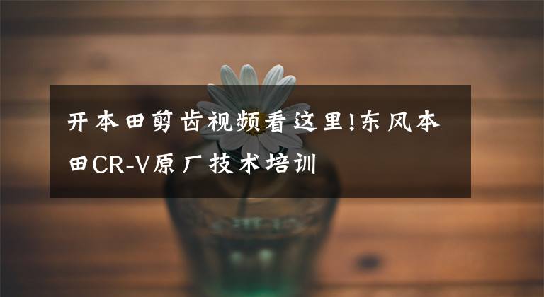 开本田剪齿视频看这里!东风本田CR-V原厂技术培训