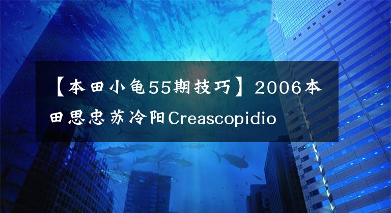 【本田小龟55期技巧】2006本田思忠苏冷阳Creascopidio  55期乌龟(视频高清)