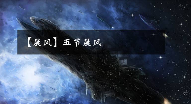 【晨风】五节晨风