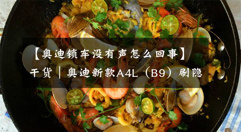 【奥迪锁车没有声怎么回事】干货|奥迪新款A4L(B9)刷隐藏