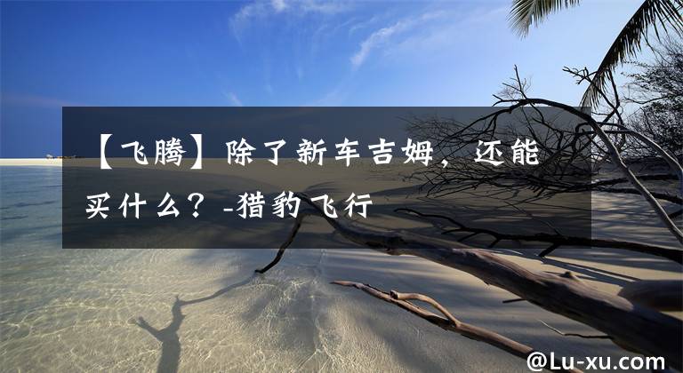 【飞腾】除了新车吉姆，还能买什么？-猎豹飞行