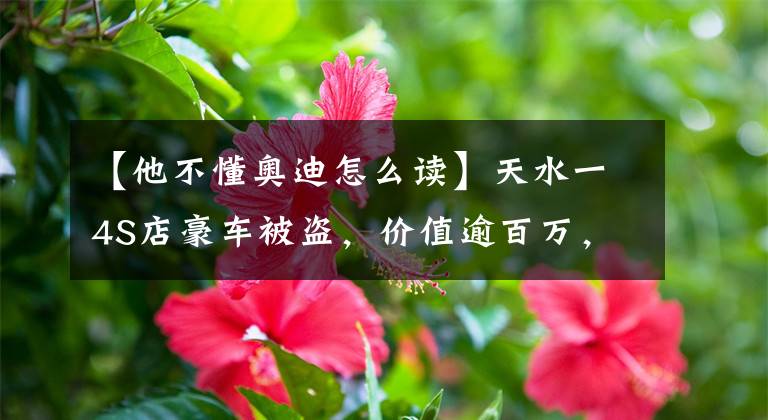 【他不懂奥迪怎么读】天水一4S店豪车被盗，价值逾百万，盗车贼竟是几个平凉娃娃……