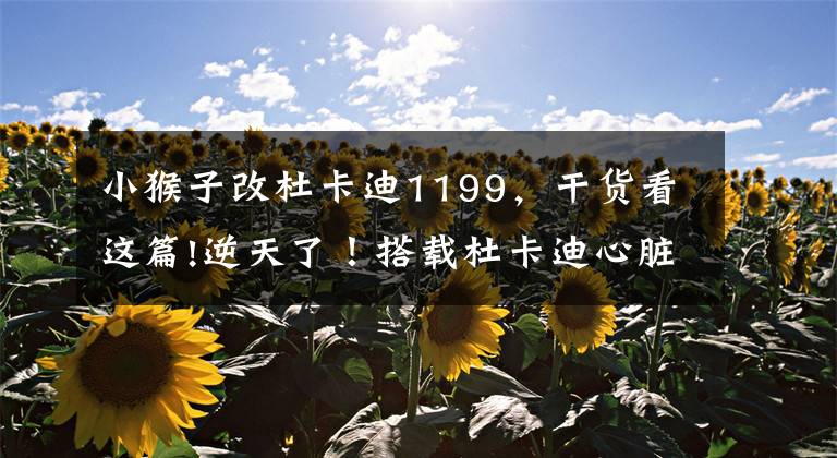 小猴子改杜卡迪1199,干货看这篇!逆天了!搭载杜卡迪心脏的200匹马力本田小猴子