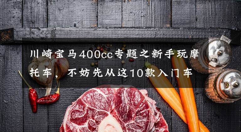 川崎宝马400cc专题之新手玩摩托车,不妨先从这10款入门车开始