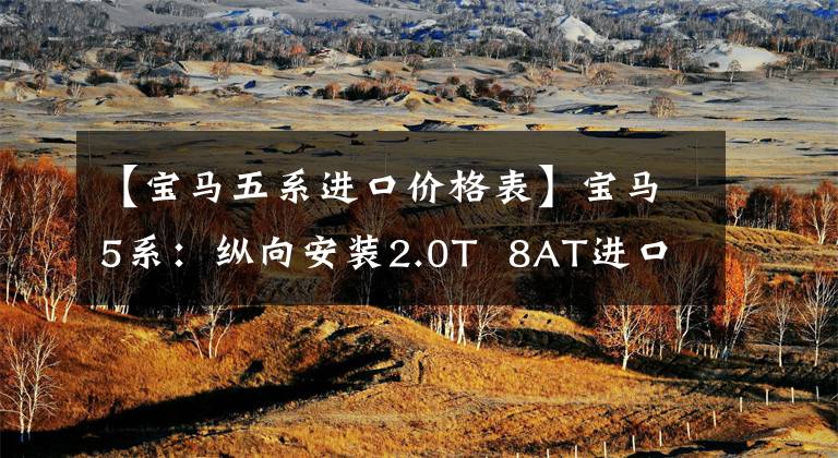 【宝马五系进口价格表】宝马5系：纵向安装2.0T  8AT进口车，价格不便宜，但只是在等人。