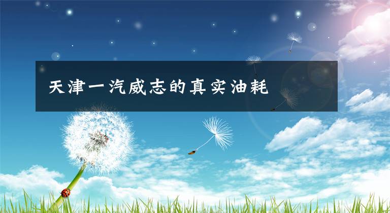 天津一汽威志的真实油耗