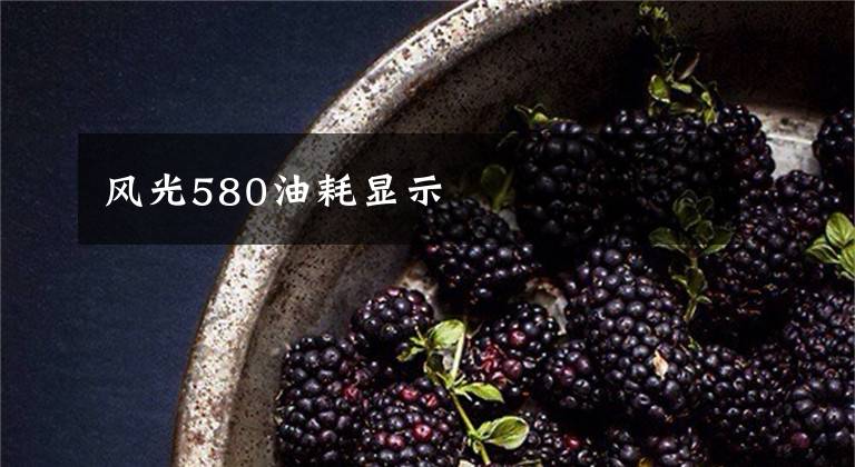 风光580油耗显示