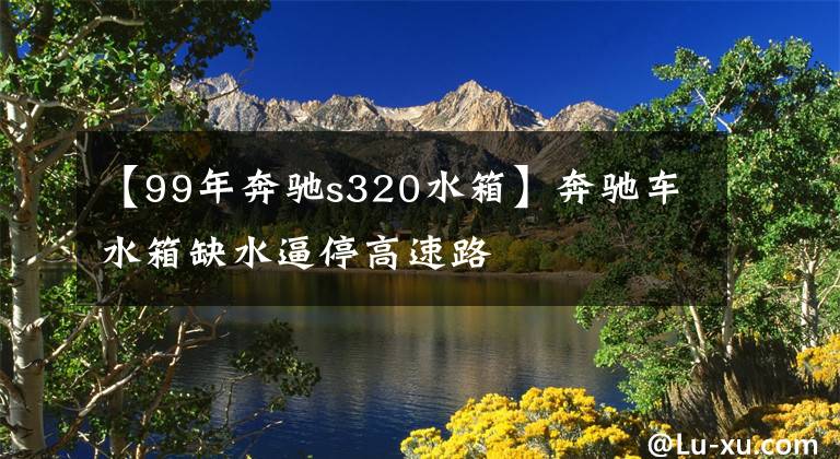 【99年奔驰s320水箱】奔驰车水箱缺水逼停高速路