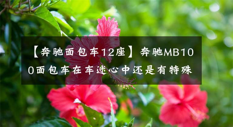 【奔驰面包车12座】奔驰MB100面包车在车迷心中还是有特殊的地位
