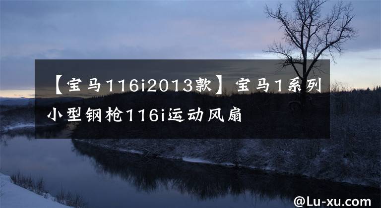 【宝马116i2013款】宝马1系列小型钢枪116i运动风扇