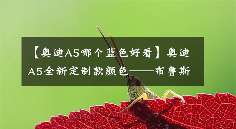 【奥迪A5哪个蓝色好看】奥迪A5全新定制款颜色——布鲁斯蓝