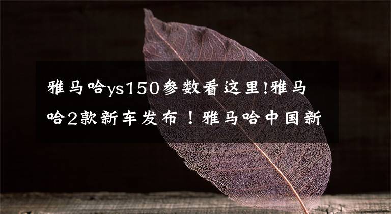 雅马哈ys150参数看这里!雅马哈2款新车发布！雅马哈中国新官上任，未来新车令人遐想