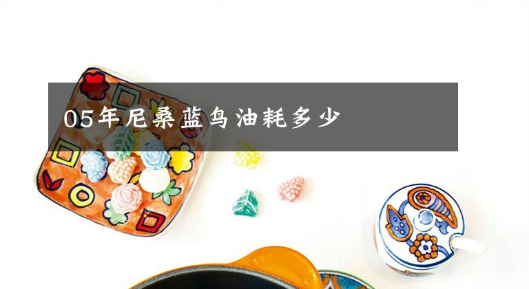 05年尼桑蓝鸟油耗多少