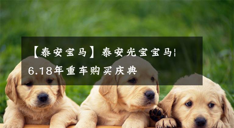 【泰安宝马】泰安光宝宝马| 6.18年重车购买庆典