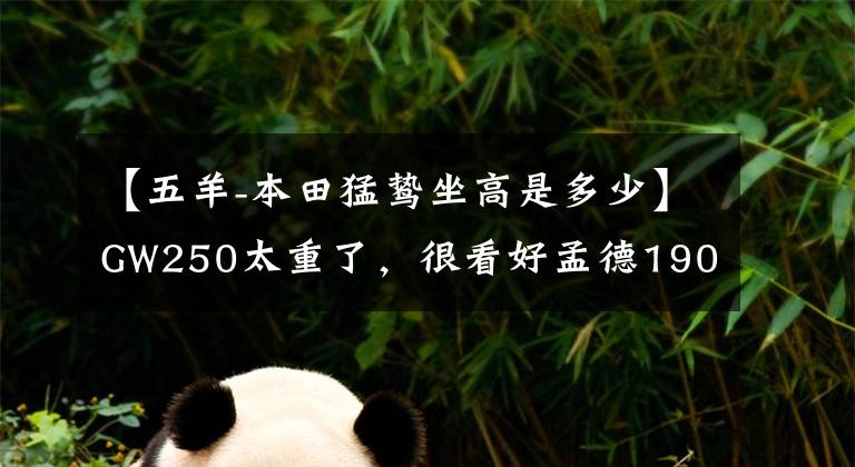 【五羊-本田猛鸷坐高是多少】GW250太重了,很看好孟德190x和飞行250,该怎么选择?