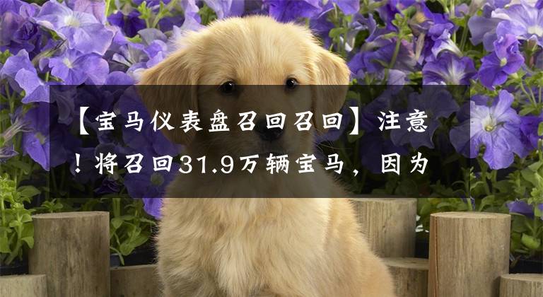 【宝马仪表盘召回召回】注意!将召回31.9万辆宝马,因为这个问题。