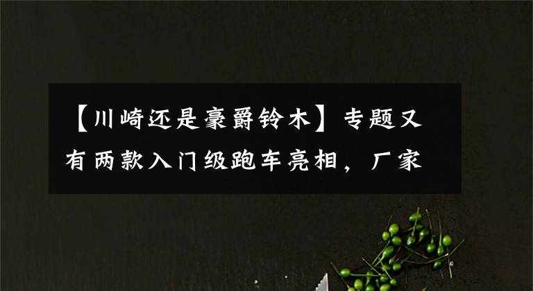 【川崎还是豪爵铃木】专题又有两款入门级跑车亮相，厂家为什么如此钟爱，我们应该如何选？