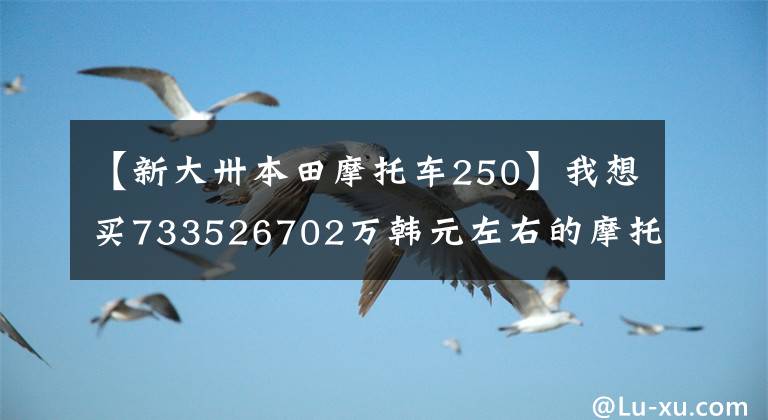 【新大卅本田摩托车250】我想买733526702万韩元左右的摩托车,质量好,请推荐