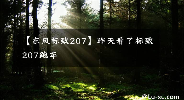 【东风标致207】昨天看了标致207跑车