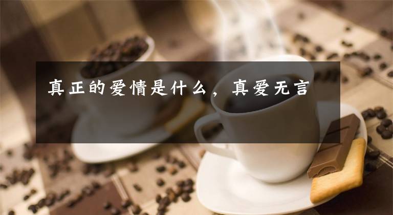 真正的爱情是什么，真爱无言