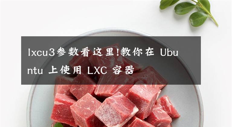 lxcu3参数看这里!教你在 Ubuntu 上使用 LXC 容器