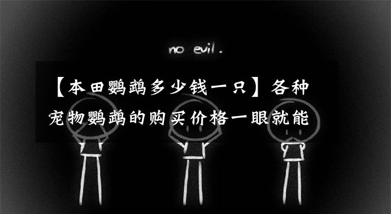 【本田鹦鹉多少钱一只】各种宠物鹦鹉的购买价格一眼就能看出,并不是因为贵而懒,所以不买