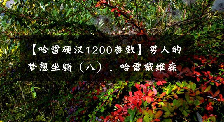 【哈雷硬汉1200参数】男人的梦想坐骑(八),哈雷戴维森1200