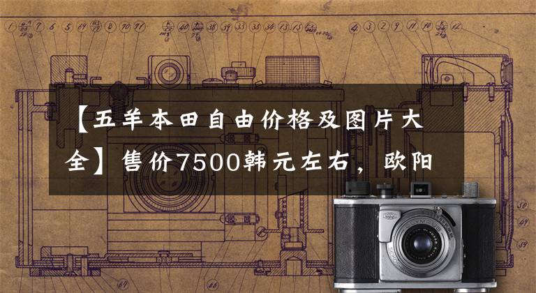 【五羊本田自由价格及图片大全】售价7500韩元左右，欧阳-本田平民踏板“喜鲨125”试驾综合评论