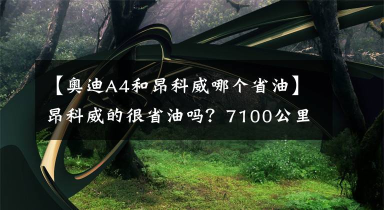 【奥迪A4和昂科威哪个省油】昂科威的很省油吗?7100公里后,车主很真实说了这几个优缺点