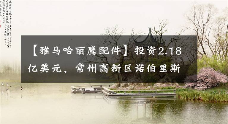 【雅马哈丽鹰配件】投资2.18亿美元,常州高新区诺伯里斯新项目基础