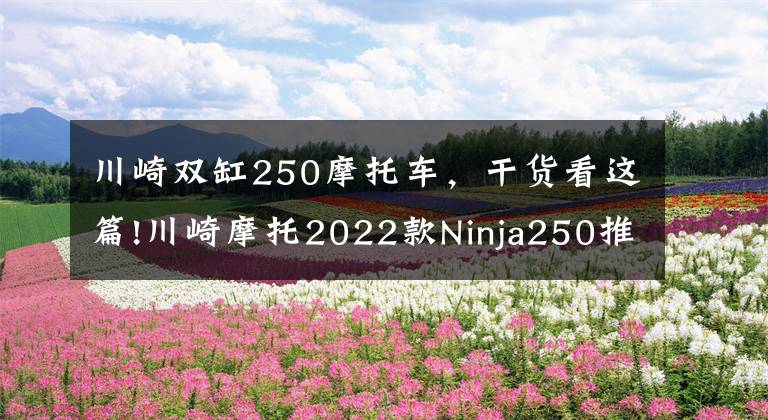 川崎双缸250摩托车,干货看这篇!川崎摩托2022款Ninja250推新糖果配色,适合女车友,可惜国内无缘
