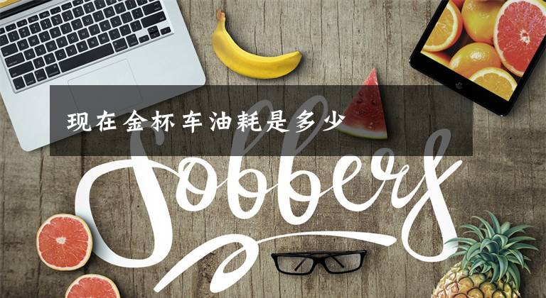 现在金杯车油耗是多少