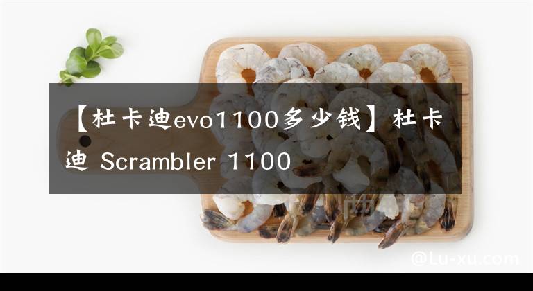 【杜卡迪evo1100多少钱】杜卡迪 Scrambler 1100
