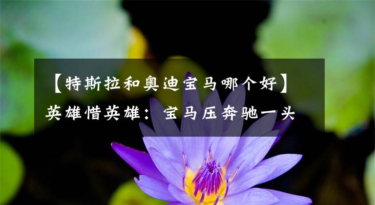 【特斯拉和奥迪宝马哪个好】英雄惜英雄：宝马压奔驰一头，11月高端车销量谁更强？