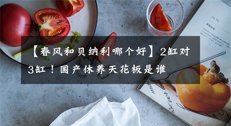 【春风和贝纳利哪个好】2缸对3缸!国产休养天花板是谁