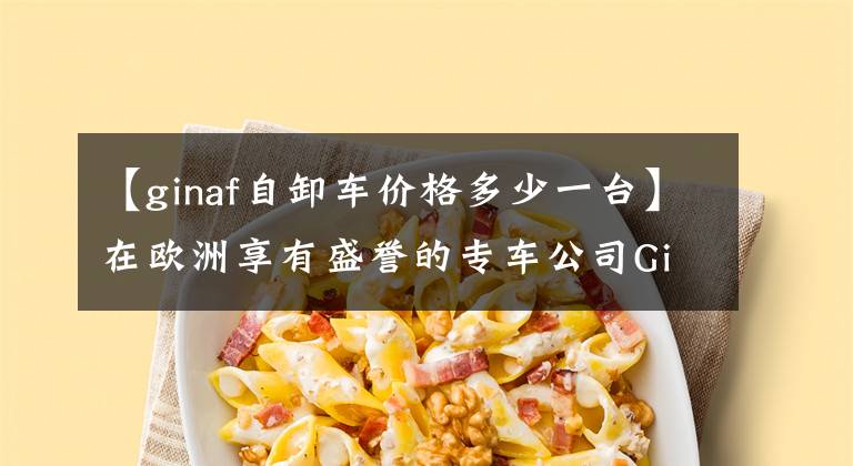 【ginaf自卸车价格多少一台】在欧洲享有盛誉的专车公司Ginaf  8x4危险品收集车。