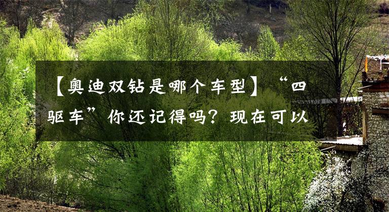 【奥迪双钻是哪个车型】“四驱车”你还记得吗？现在可以亲自开了！最大速度180！