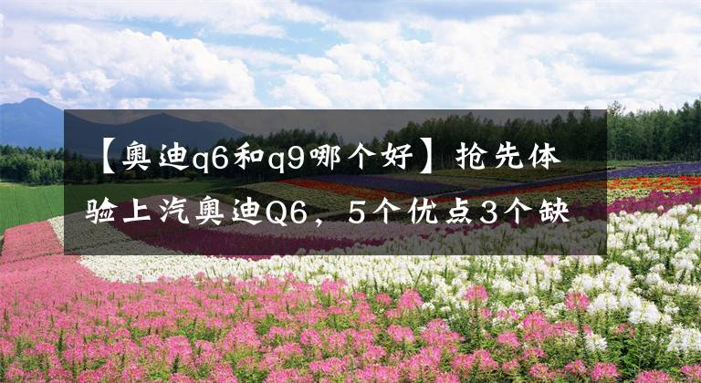 【奥迪q6和q9哪个好】抢先体验上汽奥迪Q6,5个优点3个缺点,是不是“精装版途昂”?