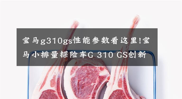宝马g310gs性能参数看这里!宝马小排量探险车G 310 GS创新发布,高喊“我要310”