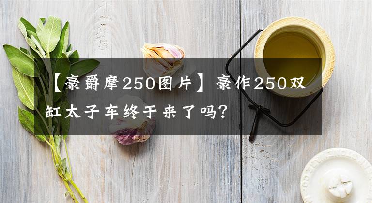 【豪爵摩250图片】豪作250双缸太子车终于来了吗?