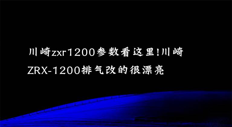 川崎zxr1200参数看这里!川崎ZRX-1200排气改的很漂亮
