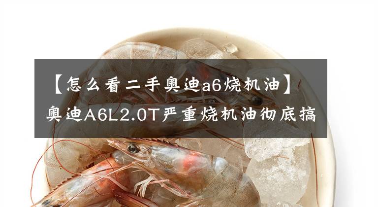 【怎么看二手奥迪a6烧机油】奥迪A6L2.0T严重烧机油彻底搞定
