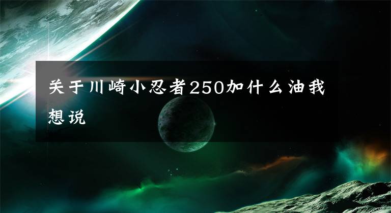 关于川崎小忍者250加什么油我想说