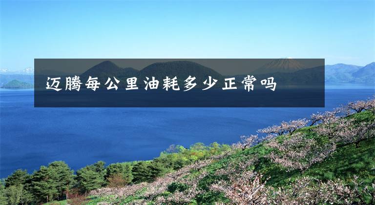 迈腾每公里油耗多少正常吗